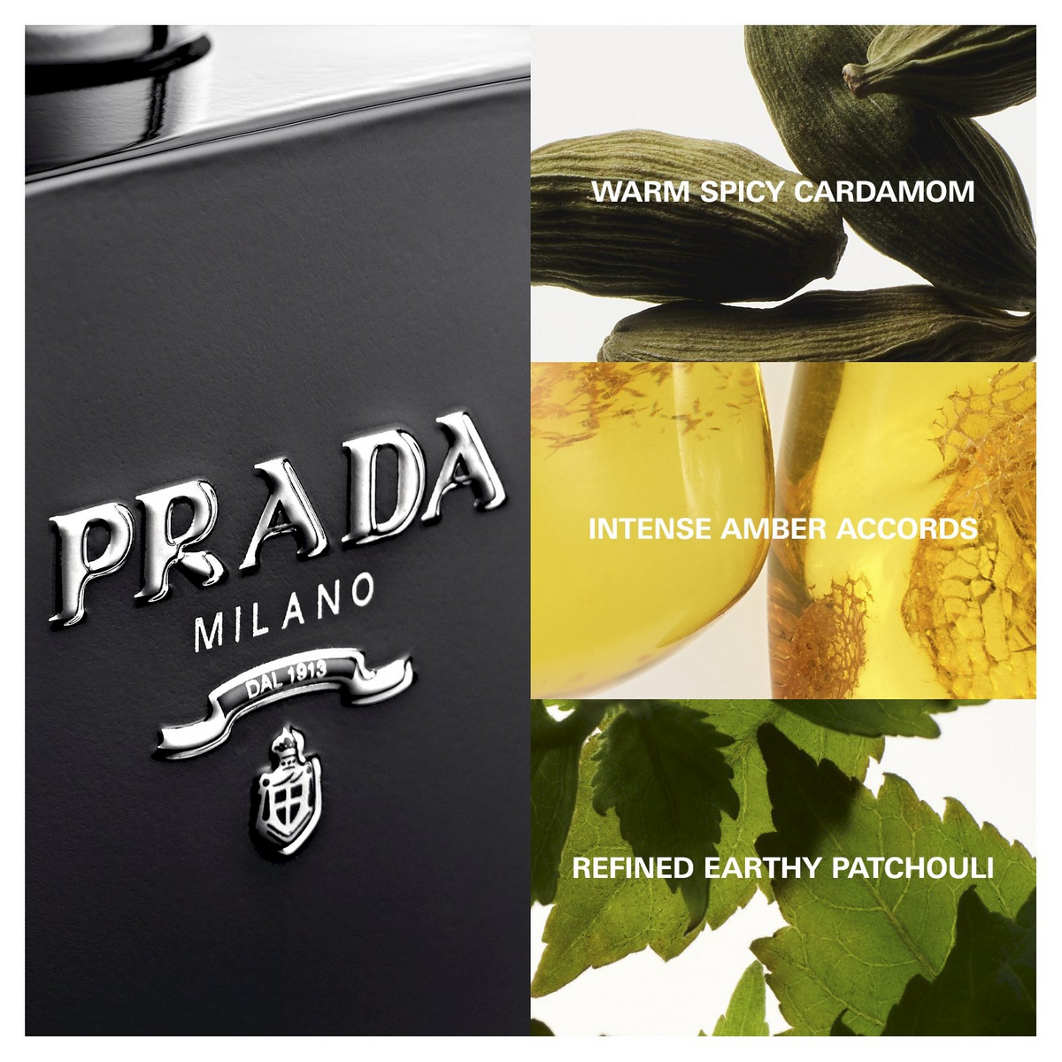 Fragrance notes of Prada L'Homme Intense EDP include warm spicy cardamom, intense amber, and refined earthy patchouli for a bold masculine scent.