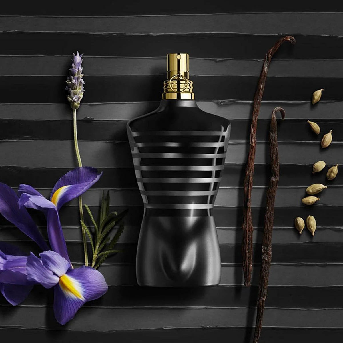 Jean Paul Gaultier Le Male Intense Perfume bottle surrounded by cardamom, vanilla, and lavender, emphasizing its bold oriental scent profile.