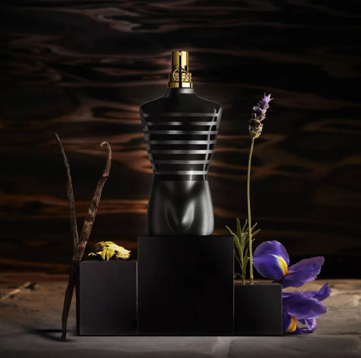Jean Paul Gaultier Le Male Intense Perfume bottle displayed with vanilla, lavender, and iris, highlighting its oriental fragrance composition.