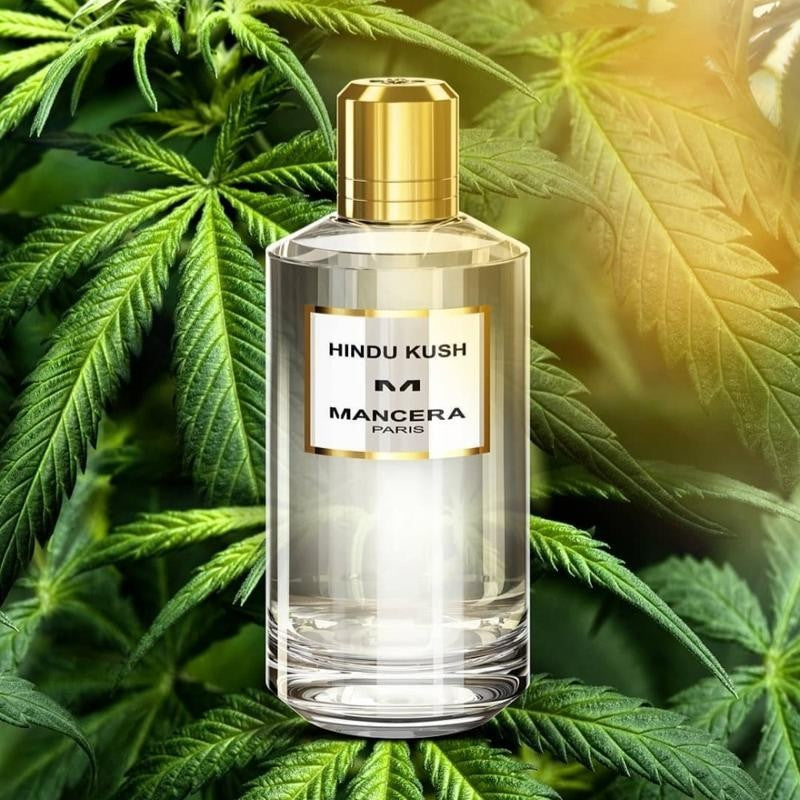 Mancera Hindu Kush Perfume 120ml bottle displayed among cannabis leaves, highlighting its bold oriental woody scent profile.
