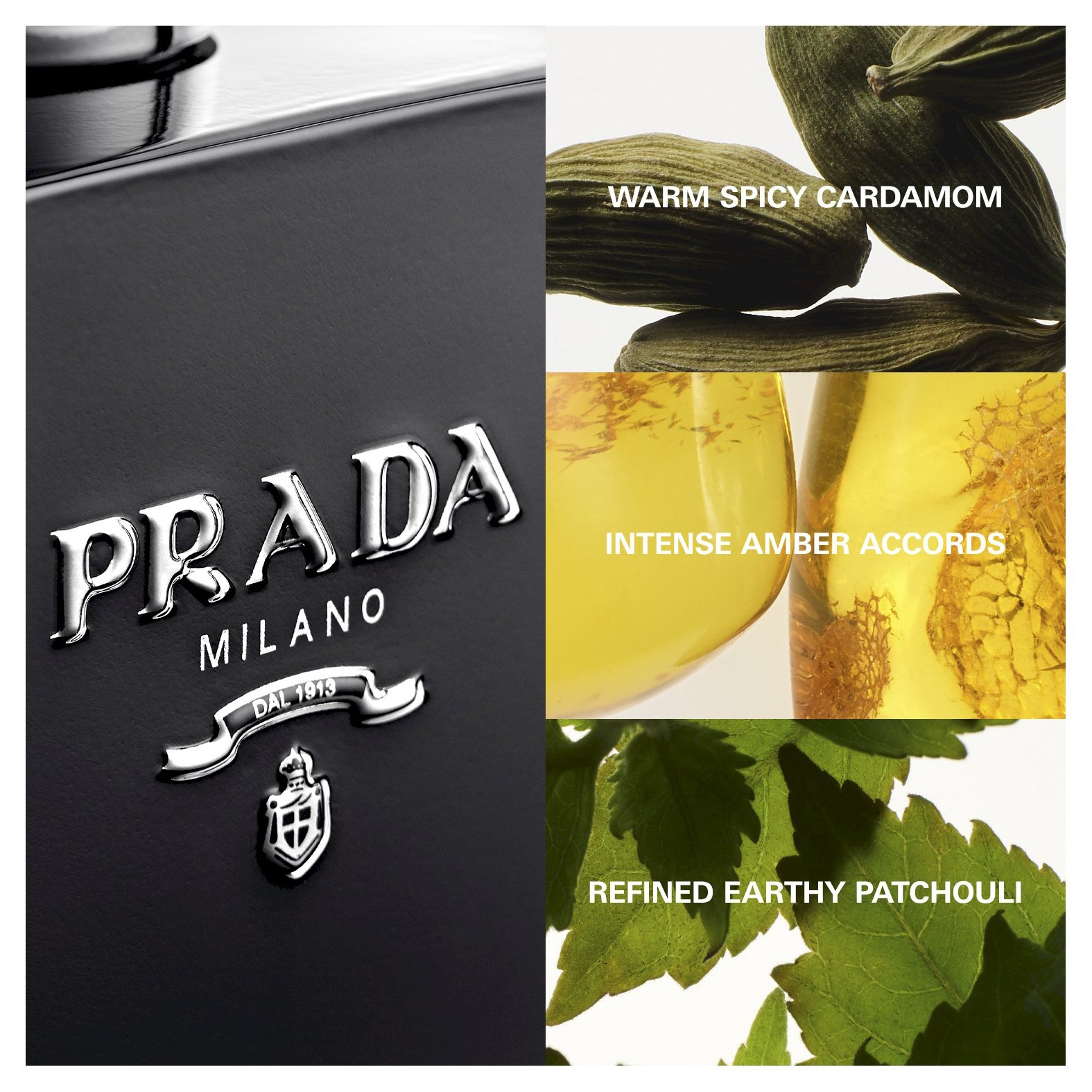 Fragrance notes of Prada L'Homme Intense EDP include warm spicy cardamom, intense amber, and refined earthy patchouli for a bold masculine scent.