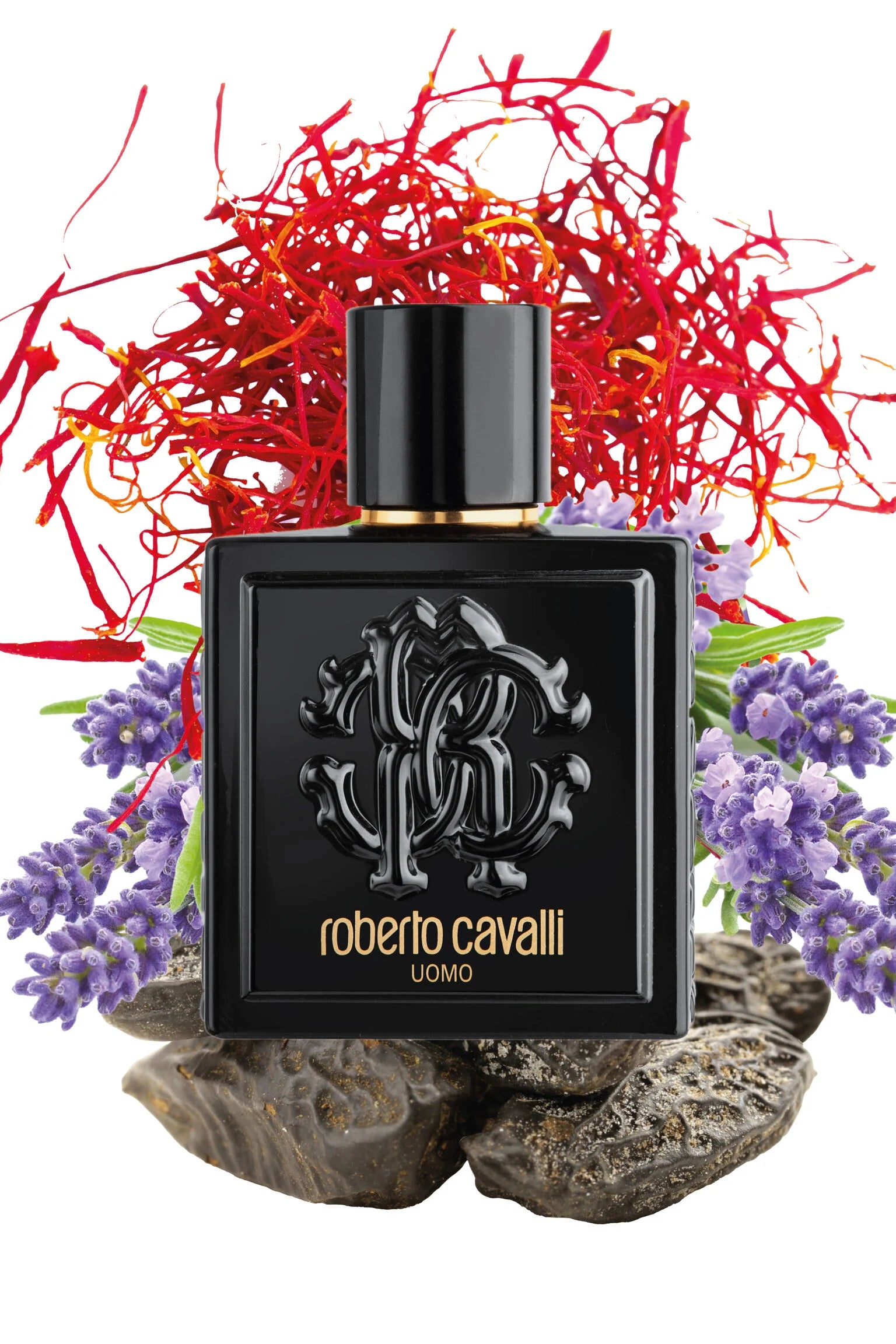 Roberto Cavalli UOMO EDT 100ml bottle surrounded by saffron, lavender, and cedar, highlighting its oriental scent profile.