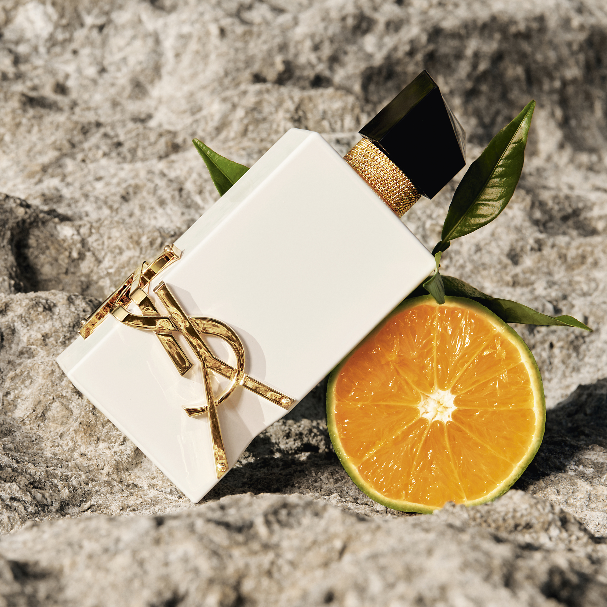 YSL Libre L'Eau Nue Perfume bottle on stone with orange slice and leaves, highlighting its natural citrus ingredients and elegant style.