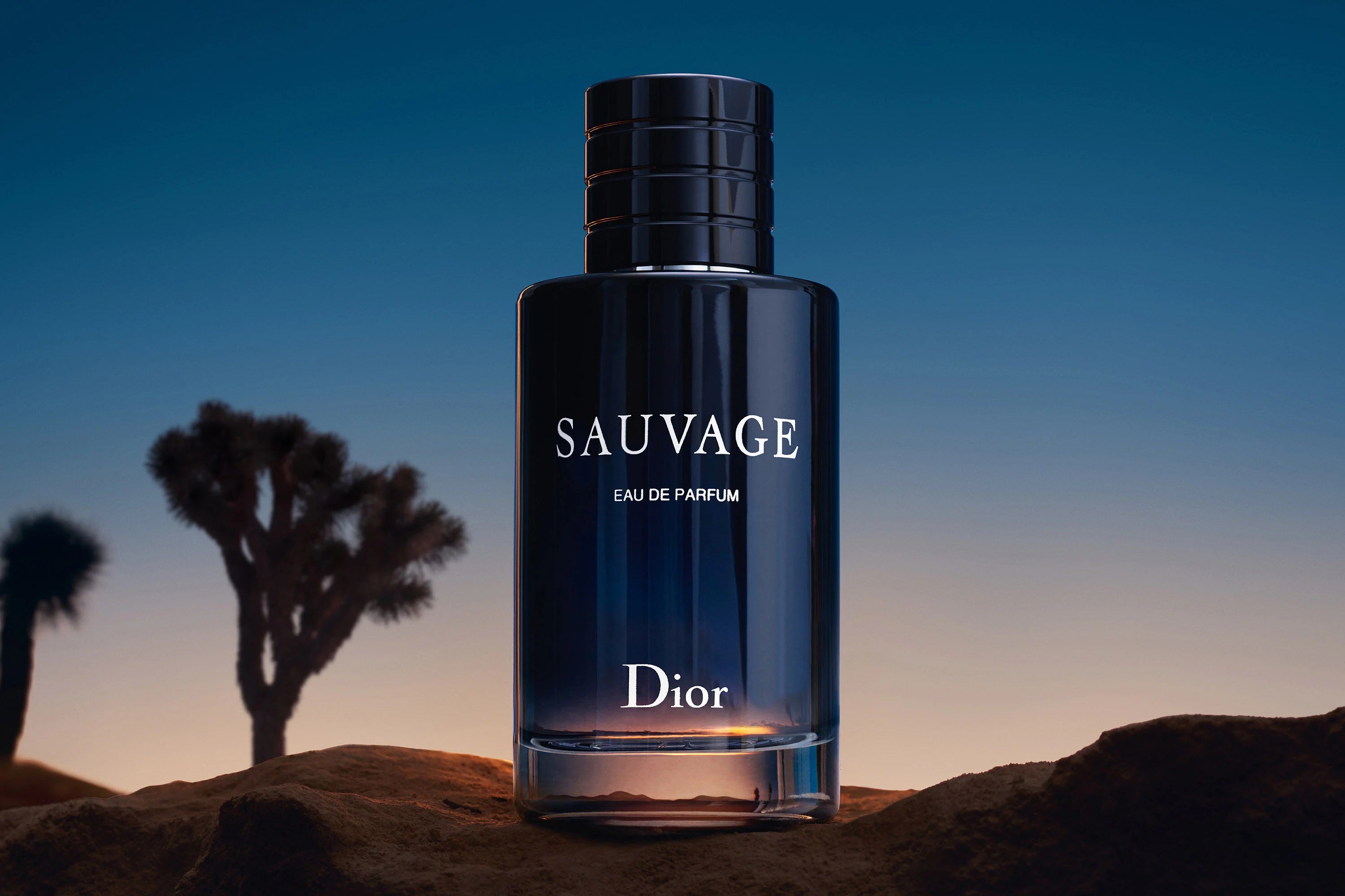 Dior Sauvage Perfume 100ml bottle standing in a desert twilight scene, emphasizing its wild, noble scent with bergamot and vanilla notes.