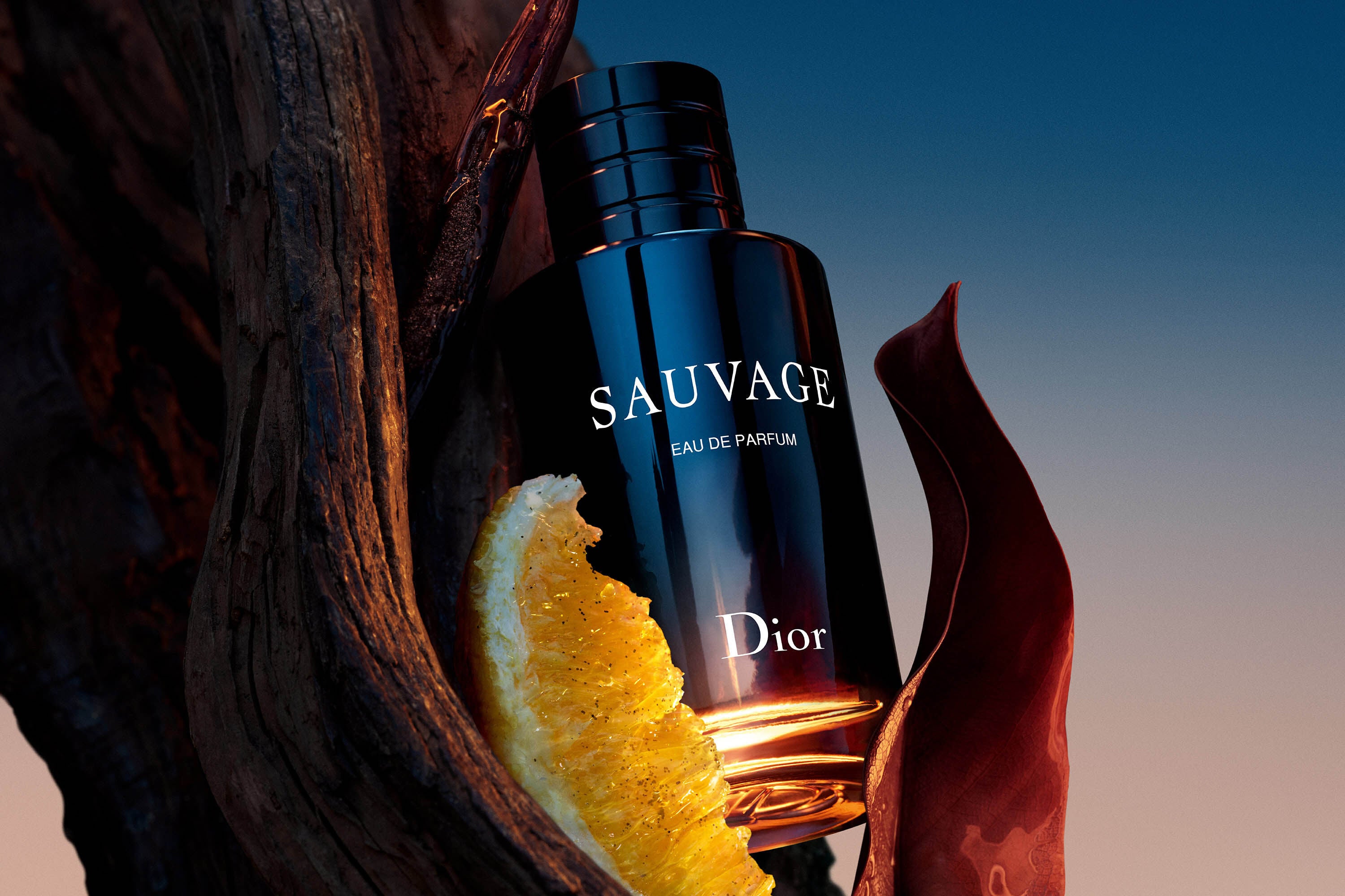Dior Sauvage Eau de Parfum 100ml nestled in wood with citrus and spice elements, highlighting its bold, spicy vanilla fragrance profile.